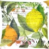 Apelt Kissenhülle 1704 col. 50 49×49 cm