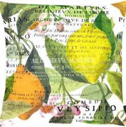 Apelt Kissenhülle 1704 col. 50 49×49 cm