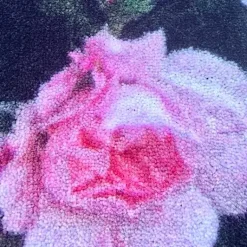 Badteppich Rosen 50×72 cm