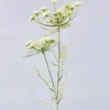 Dekozweig Wildblumen Natur Schierling Zweig 69 cm