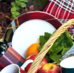 Dessertteller Porzellan Tischset ASA tartan rot Durchesser 21 cm