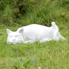 Gartendeko Figur Katze OTTILIE Dirk Detlefsen B 45 cm
