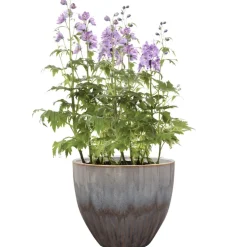 Keramik Blumentopf purple Dyon 3er Set