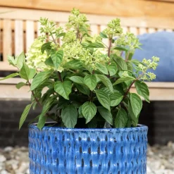 Keramik Pflanzkübel blau 4er Set Sveya