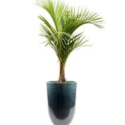 Keramik Pflanzkübel XXL outdoor Pure blau