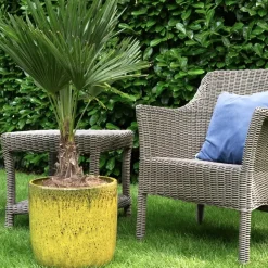 Keramik Pflanzkübel XXL outdoor Rob gelb 4er Set