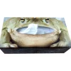 Kosmetiktücherbox Froschkönig 26×13 cm