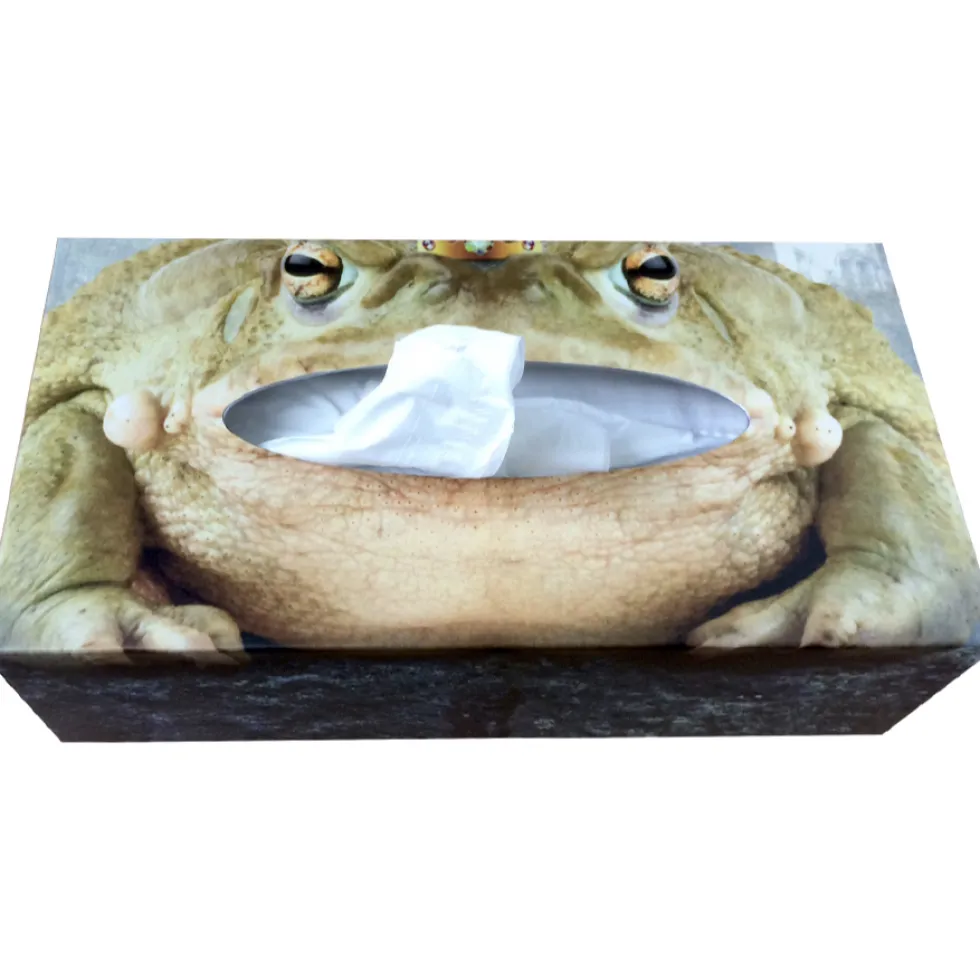 Kosmetiktücherbox Froschkönig 26×13 cm