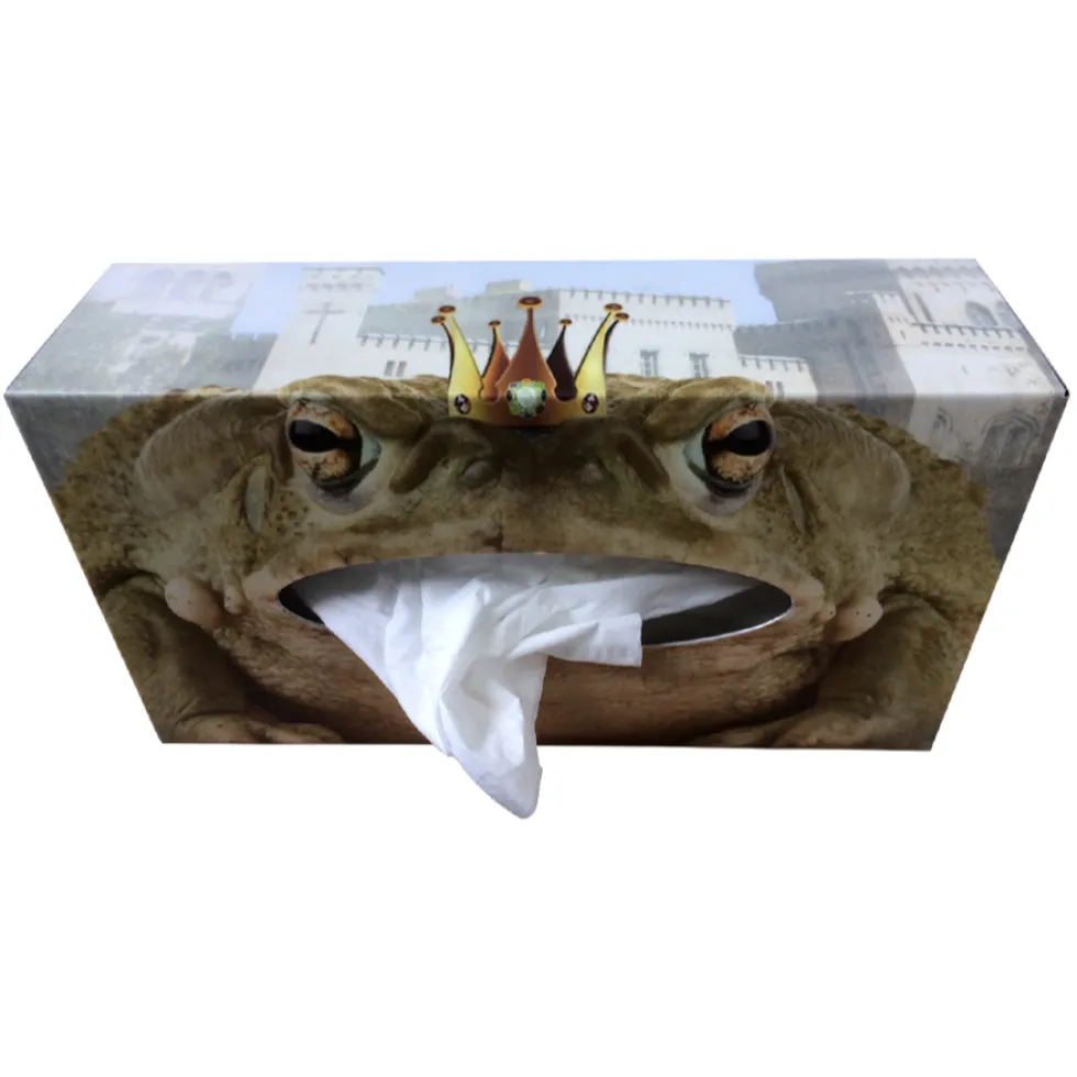 Kosmetiktücherbox Froschkönig 26×13 cm