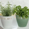 Kräutertopf Rosmarin & Basilikum Casablanca H 14 cm