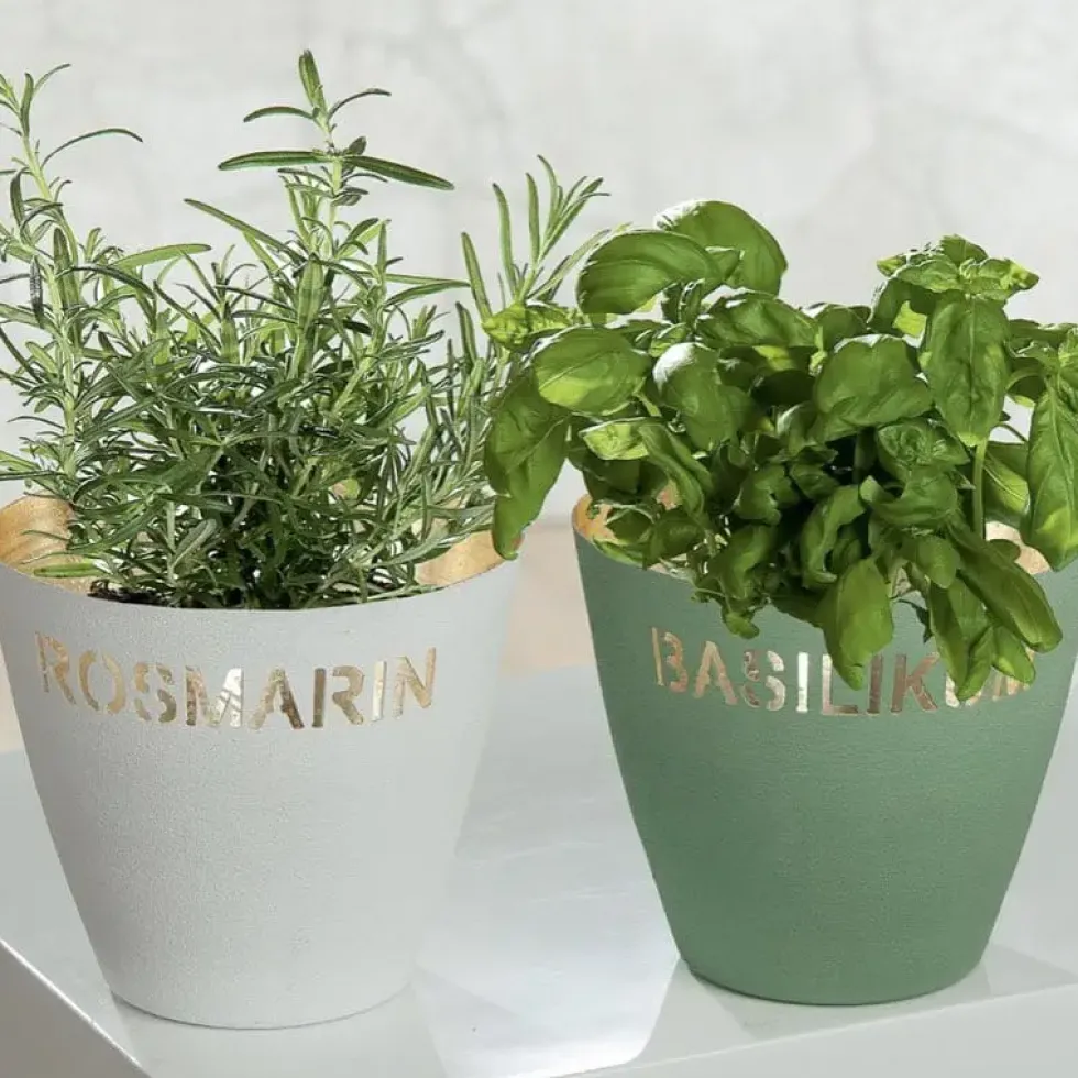 Kräutertopf Rosmarin & Basilikum Casablanca H 14 cm