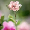 Kunstblume Dekozweig Magnolie Seide rosa Höhe 75 cm beeist