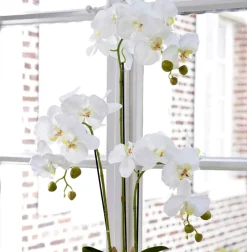 Kunstblume künstliche Orchidee wie echt weiß Höhe 80 cm