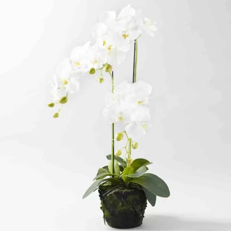 Kunstblume künstliche Orchidee wie echt weiß Höhe 80 cm