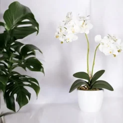 Kunstblume Kunstpflanze Orchidee im Topf Höhe 45 cm