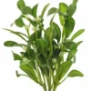 Kunstblume Mistelzweig Mistelbündel Deko weiß grün Höhe 35 cm