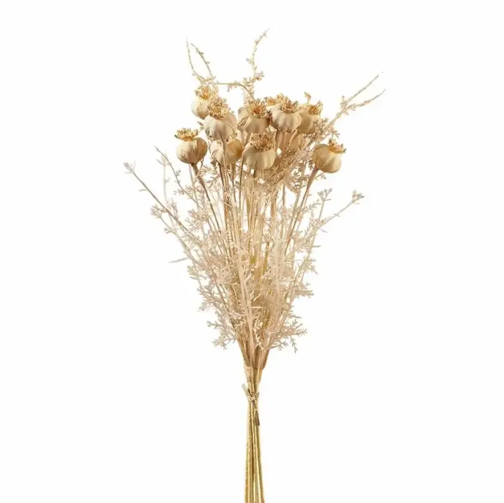 Kunstblume Trockenblumen Blüten Mohnbündel Seide creme Höhe 36 cm