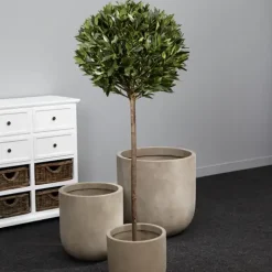 Kunstolivenbaum Riviera Kaheku Höhe 120 cm