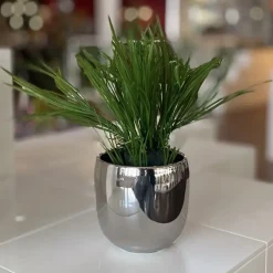 Kunstpflanze im Topf Deko Acorus calamus Höhe 45 cm