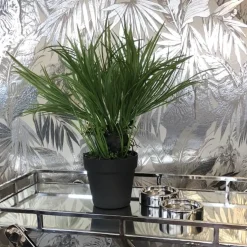 Kunstpflanze im Topf Deko Acorus calamus Höhe 45 cm