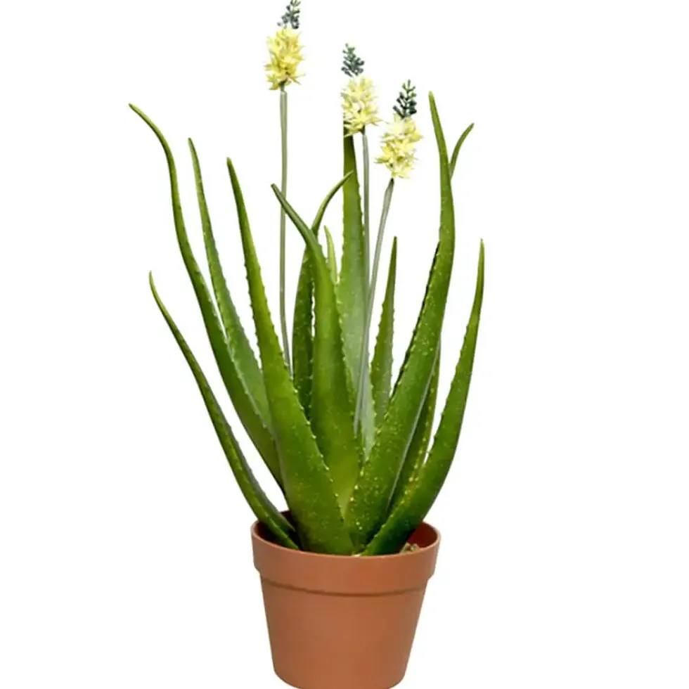 Kunstpflanze im Topf Deko Agave weiß Höhe 60 cm