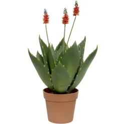 Kunstpflanze im Topf Deko Agave rot Höhe 60 cm
