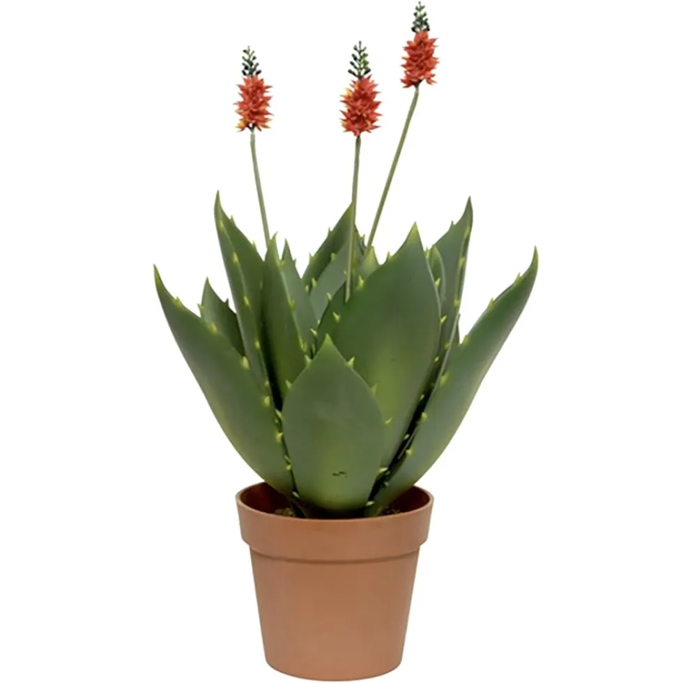 Kunstpflanze im Topf Deko Agave rot Höhe 60 cm