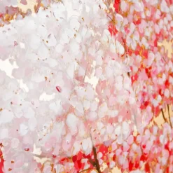 Leinwandbild auf Keilrahmen Cherry Tree Casablanca 70×140 cm