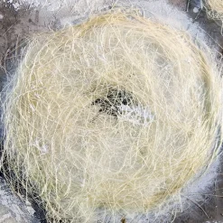 Leinwandbild Dandelion 100×100 cm