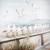 Leinwandbild Seaside Möwen 60×60 cm