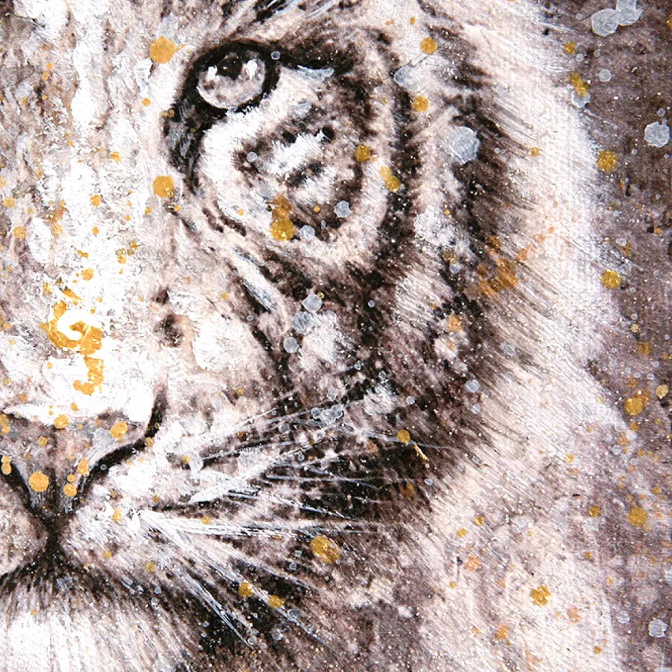 Leinwandbild 2-teilig Wildlife 40×40 cm