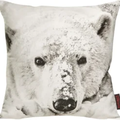 Magma Kissen WILDERNESS POLARBÄR 40×40 cm