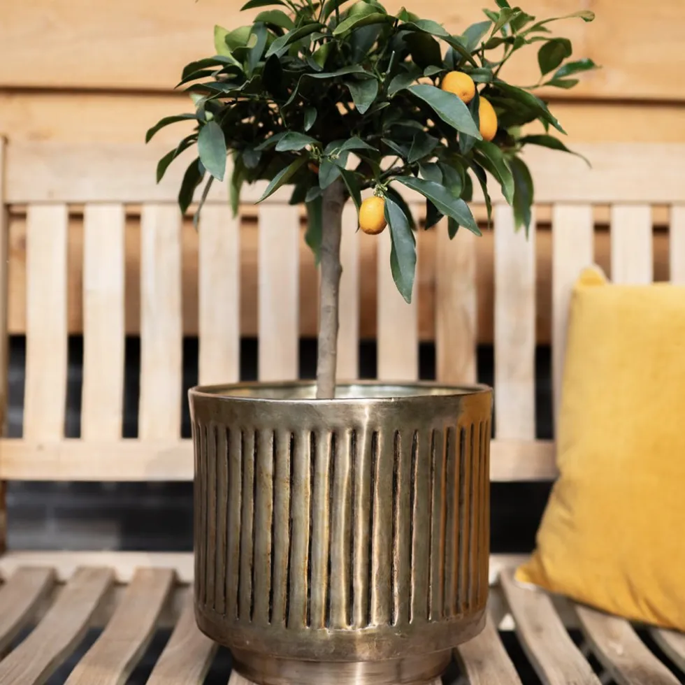 Metall Pflanzkübel XXL outdoor 4er Set Elna gold