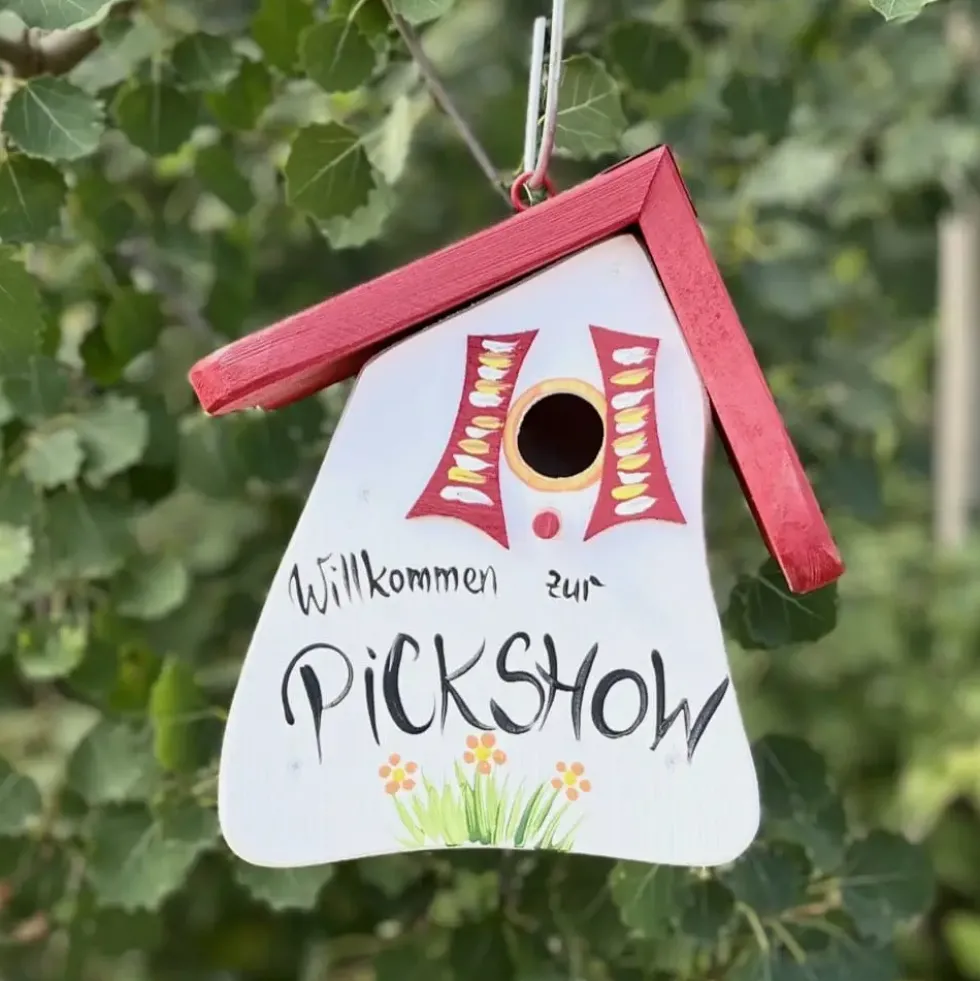 Nistkasten zum Aufhängen Pickshow Vogelvilla Höhe 23 cm
