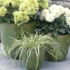 Pflanzkübel Keramik grün H 22 cm
