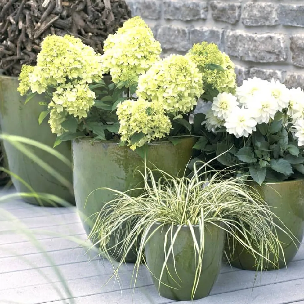 Pflanzkübel Keramik grün H 22 cm
