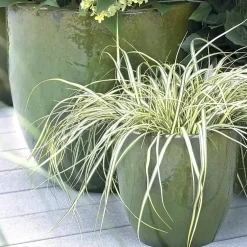 Pflanzkübel Keramik grün H 22 cm