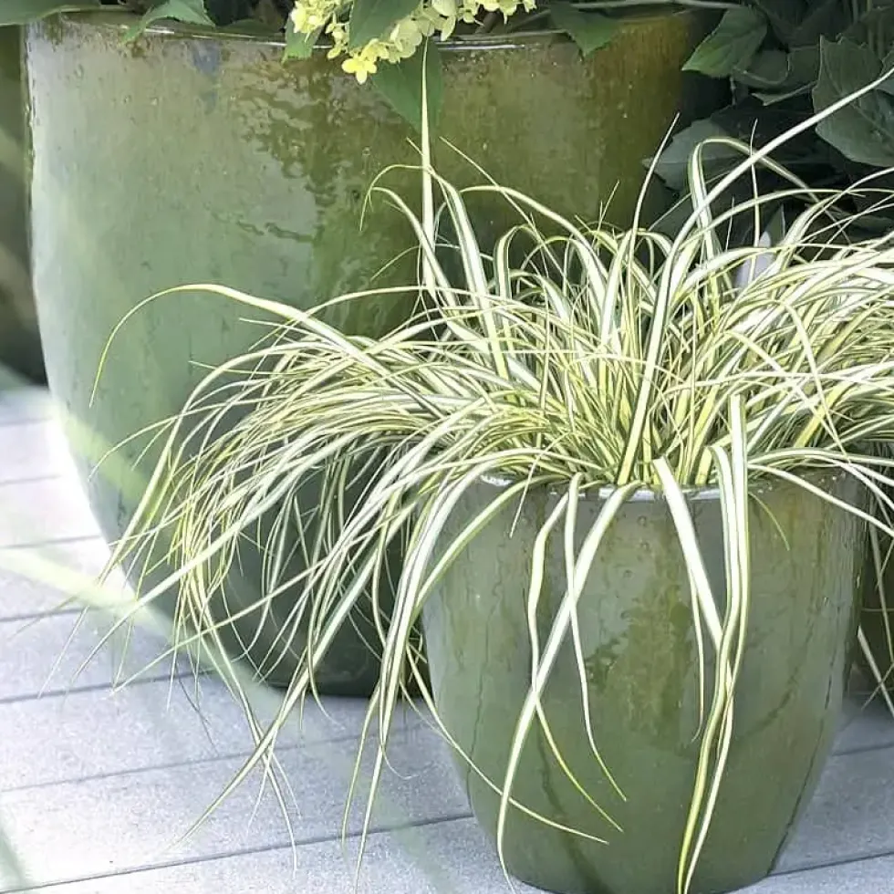 Pflanzkübel Keramik grün H 22 cm