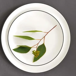 Platzteller weiß Porzellan ASA à table ligne noire D 31,5 cm