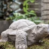 Steinfigur Garten Schildkröte Breite 40 cm
