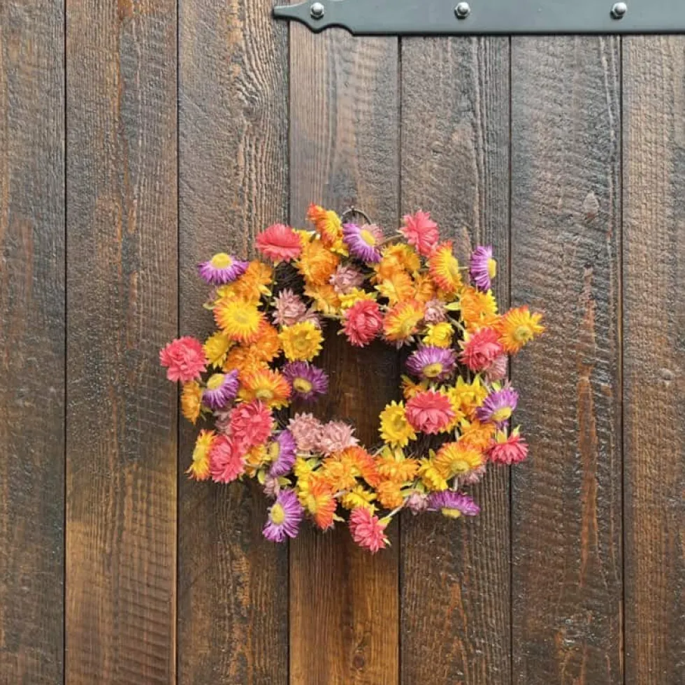Türkranz Herbst Deko Blütenkranz auf Rebe D 30 cm
