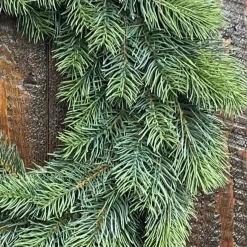 Türkranz Weihnachten Blautanne Durchmesser 50 cm