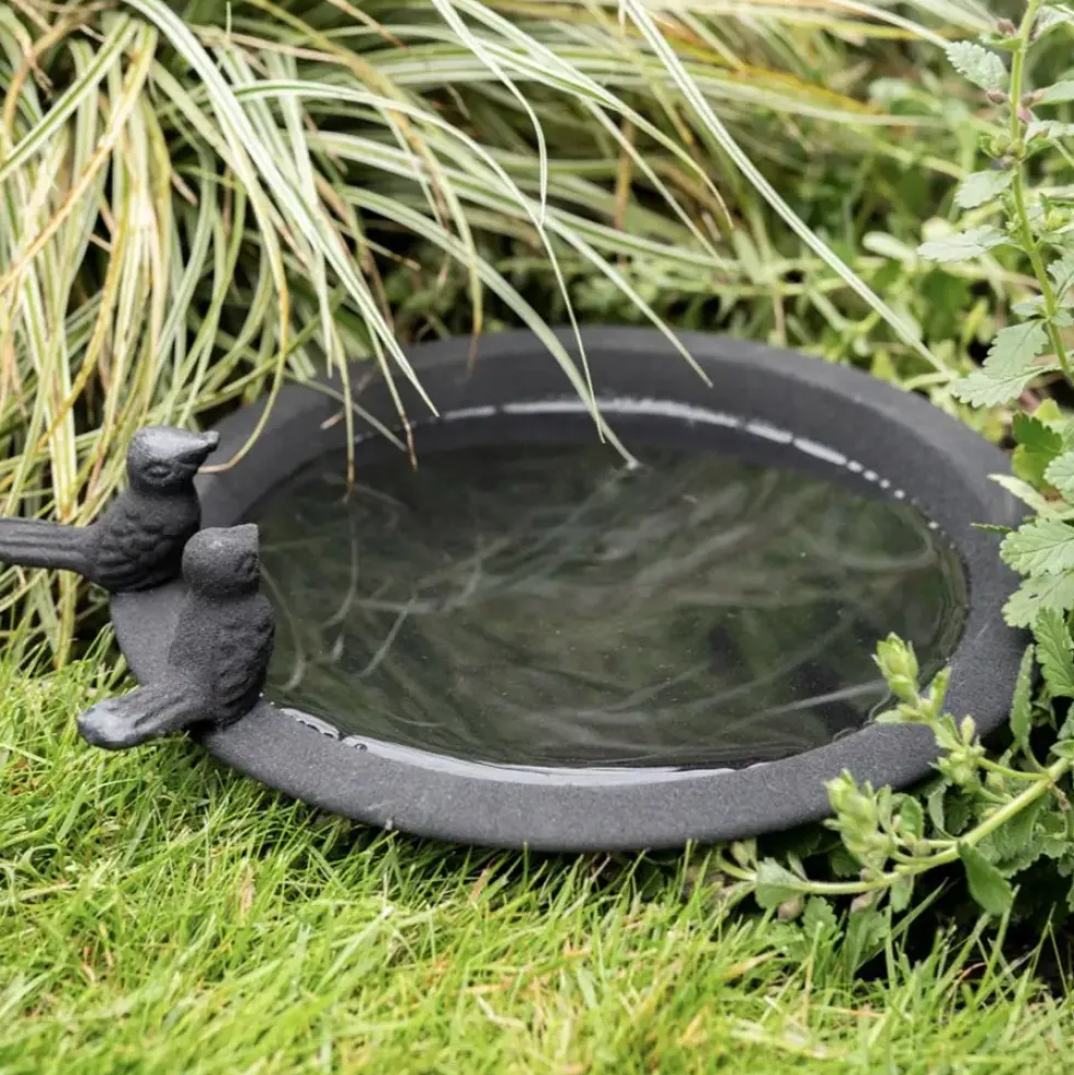 Vogeltränke Metall schwarz 26 cm