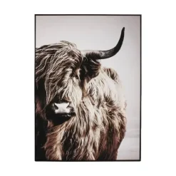 Wandbild Highland Bison 103×143 cm
