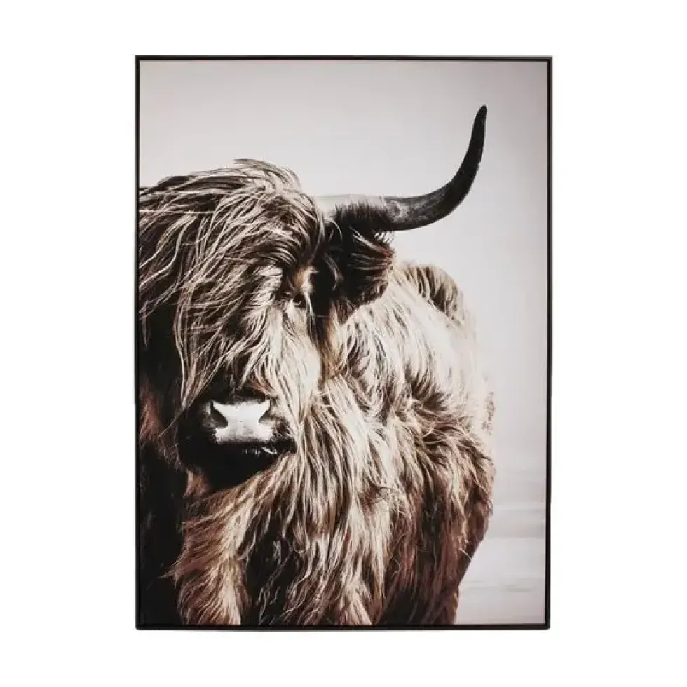 Wandbild Highland Bison 103×143 cm