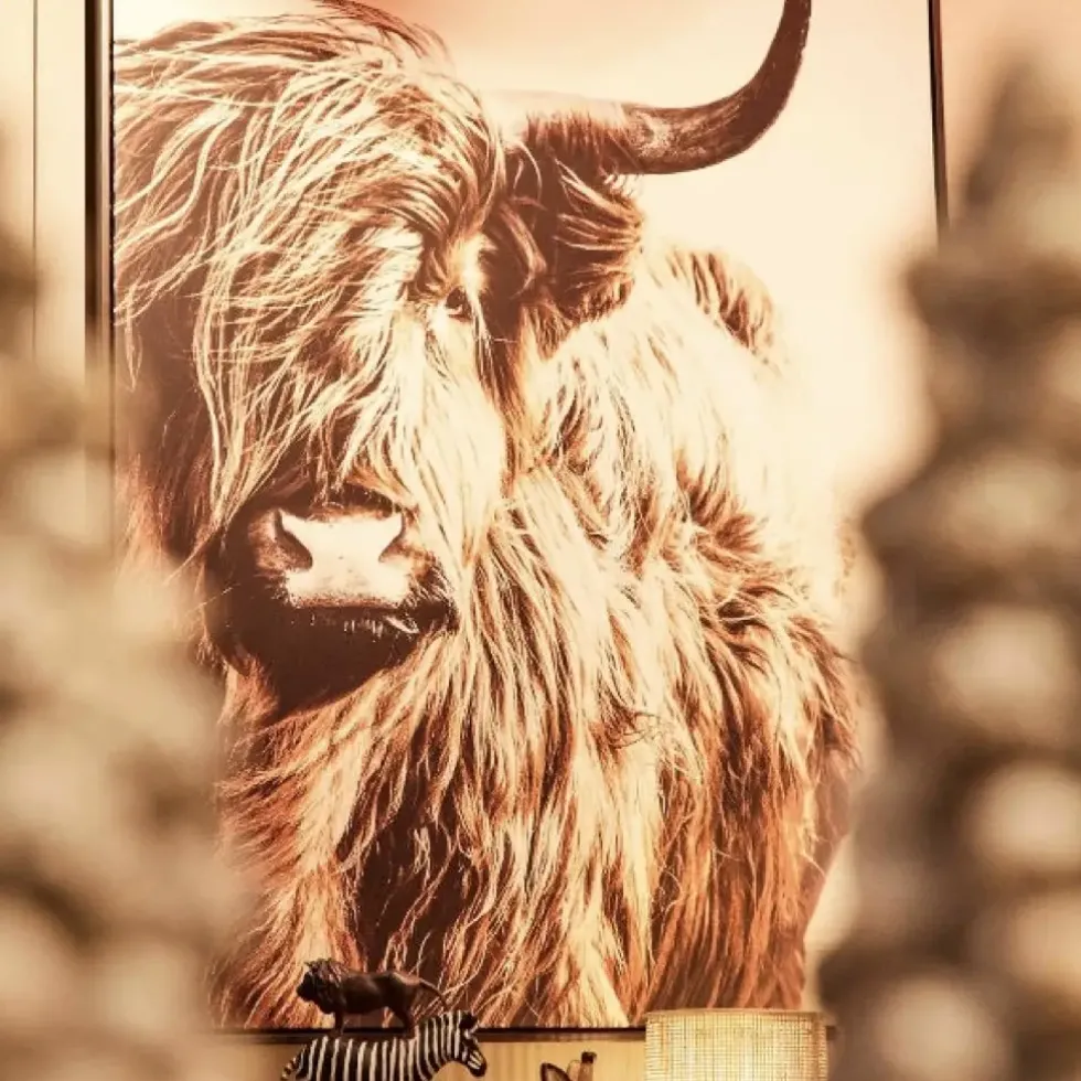 Wandbild Highland Bison 103×143 cm