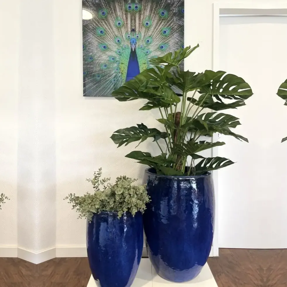 Wandbild mit Acrylglas Pfau