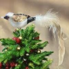 Weihnachtsbaumschmuck Vogel mit Clip Werner Voß Höhe 8 cm
